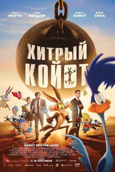 Қу койотқа 