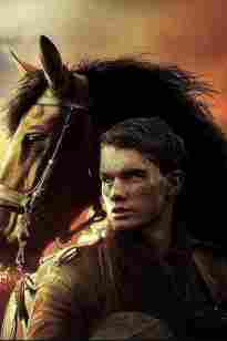 Соғыс ат (СОҒЫС Асыл тұқымды Жауынгер ат )